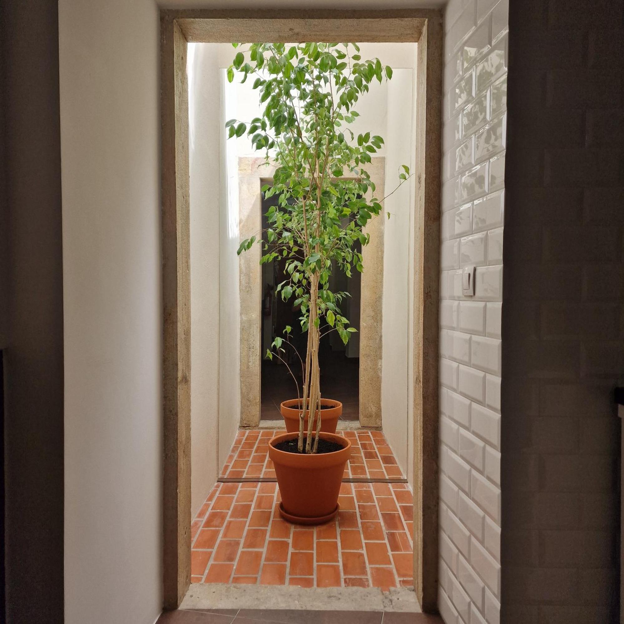 Casas De Constancia Βίλα Δωμάτιο φωτογραφία